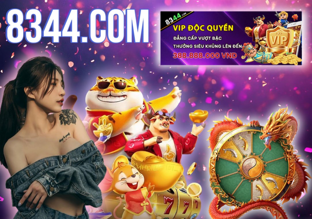 Hình ảnh quảng cáo của so888 hiển thị nền tảng và các lợi ích
